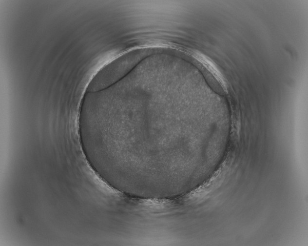 X0000111780805200908201109