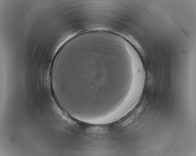 X0000111780806200908201109