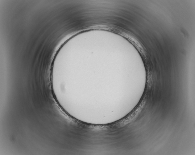 X0000111780808200908201109