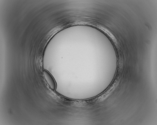 X0000111780809200908201109