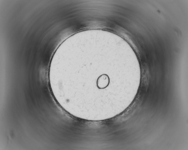 X0000111780810200908201109