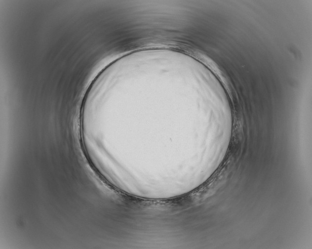 X0000111780811200908201109