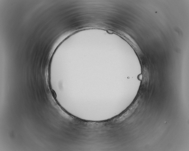 X0000111780812200908201109