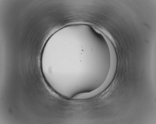 X0000111780813200908201109