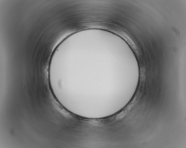 X0000111780814200908201109