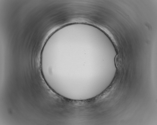X0000111780815200908201109