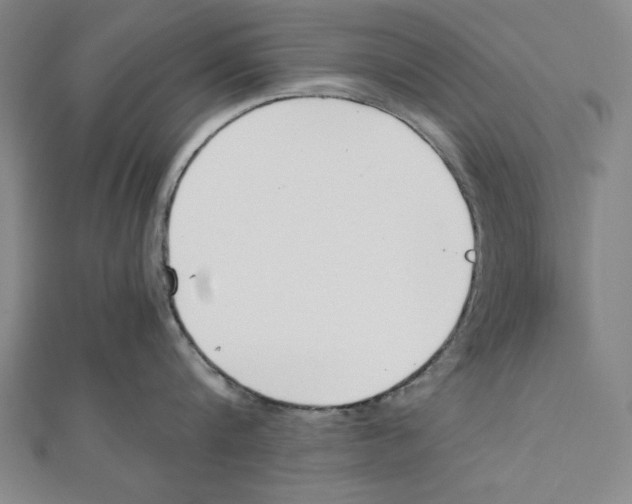 X0000111780816200908201109