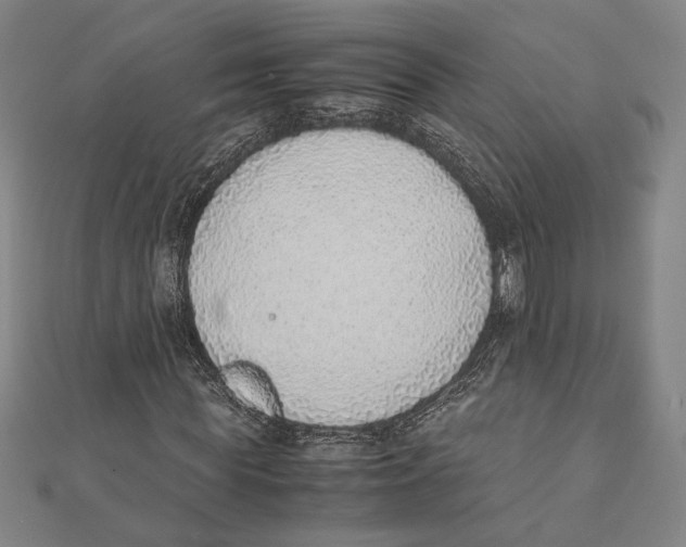 X0000111780819200908201108