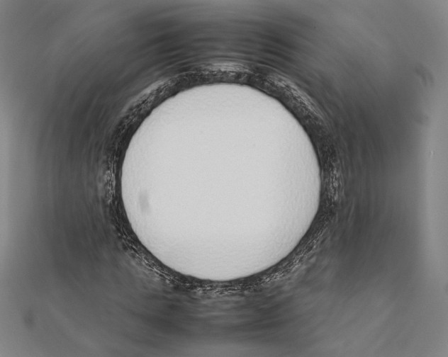 X0000111780821200908201108
