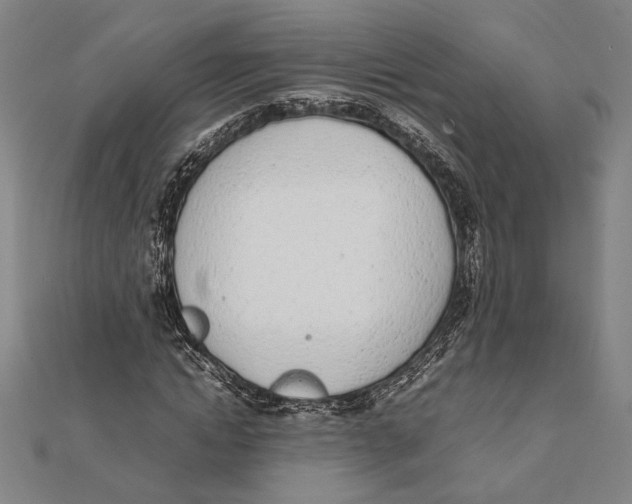 X0000111780822200908201108
