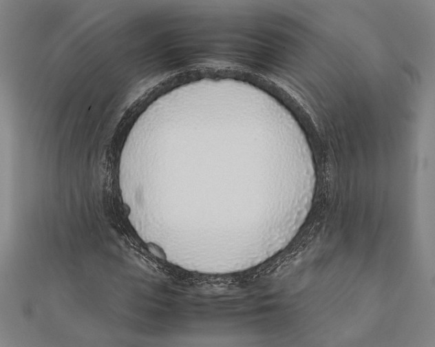 X0000111780823200908201108