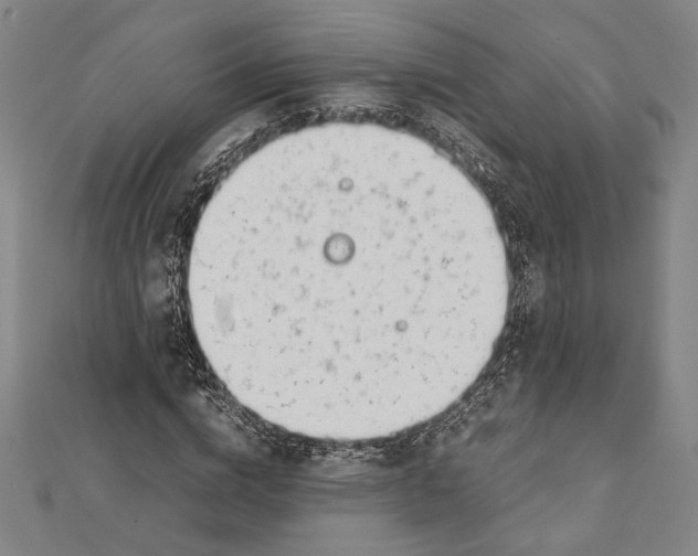 X0000111780824200908201108