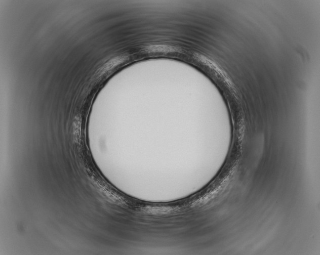 X0000111780825200908201108