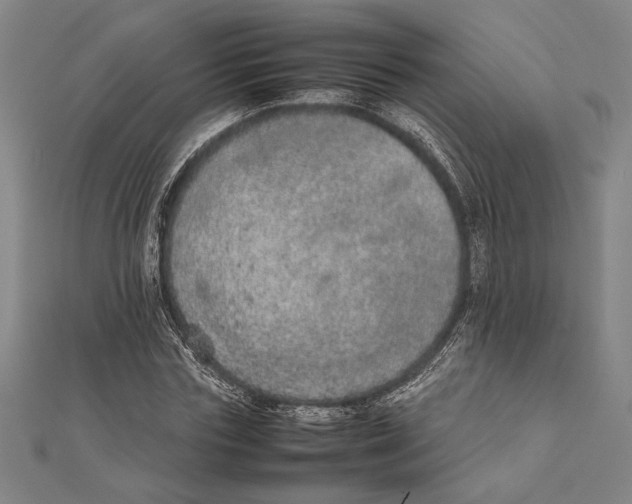X0000111780827200908201108