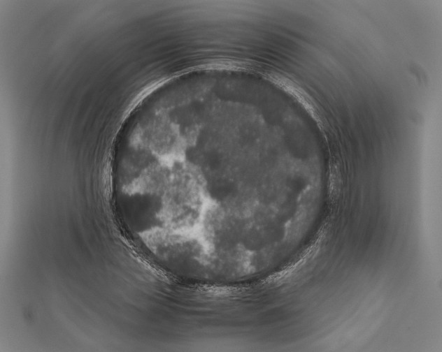 X0000111780829200908201108