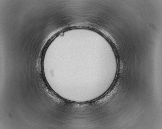 X0000111780830200908201108