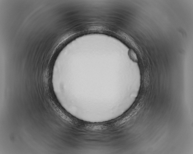 X0000111780831200908201108