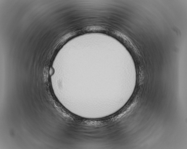 X0000111780833200908201108
