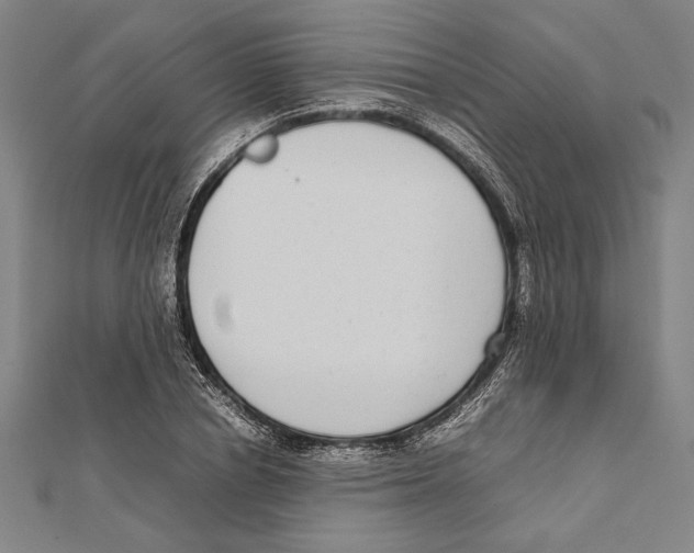 X0000111780834200908201108