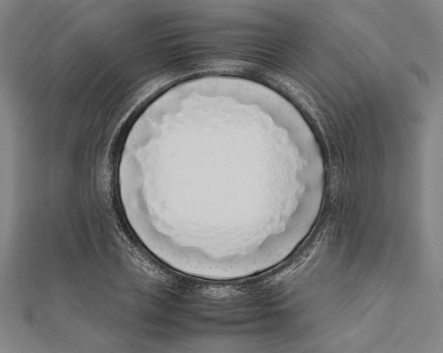 X0000111780835200908201108