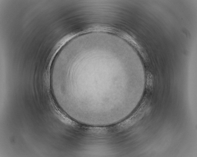 X0000111780836200908201108
