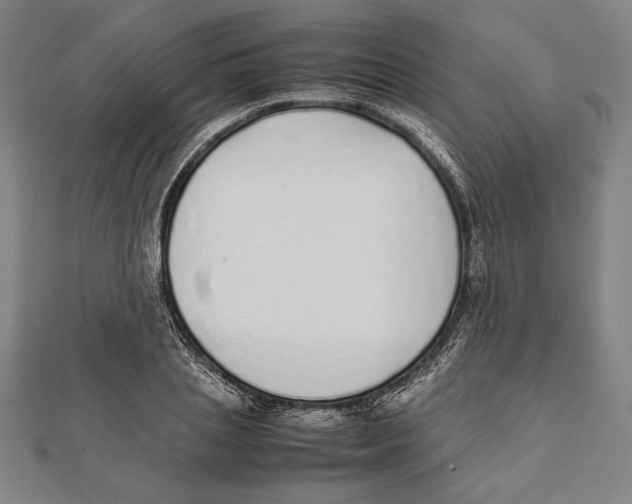 X0000111780837200908201108