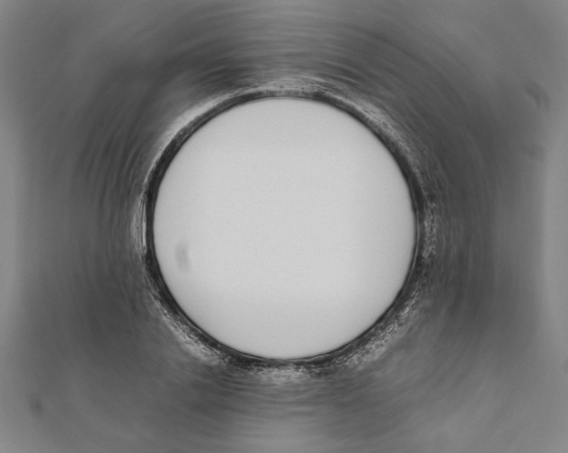 X0000111780838200908201108