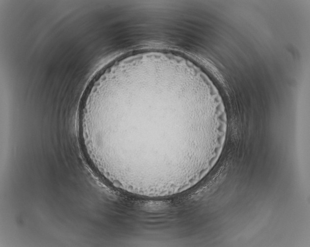 X0000111780839200908201108