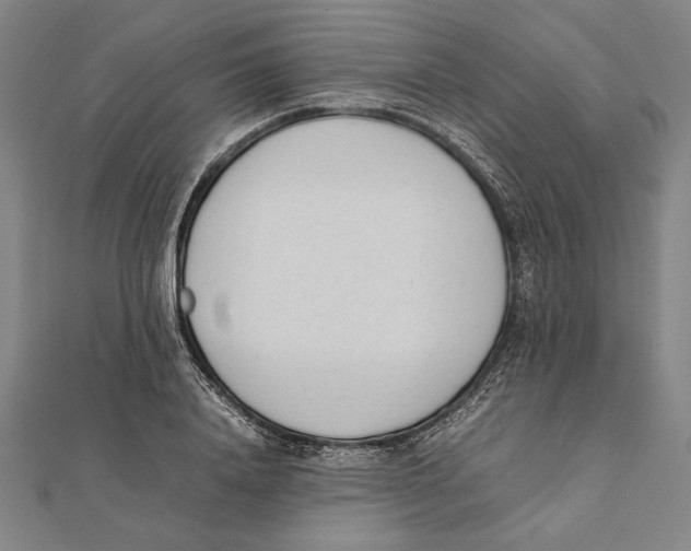 X0000111780840200908201108