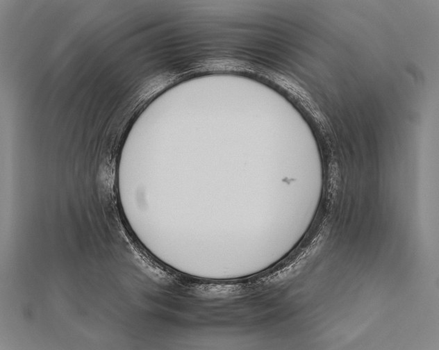 X0000111780841200908201108