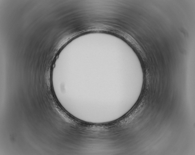 X0000111780842200908201108