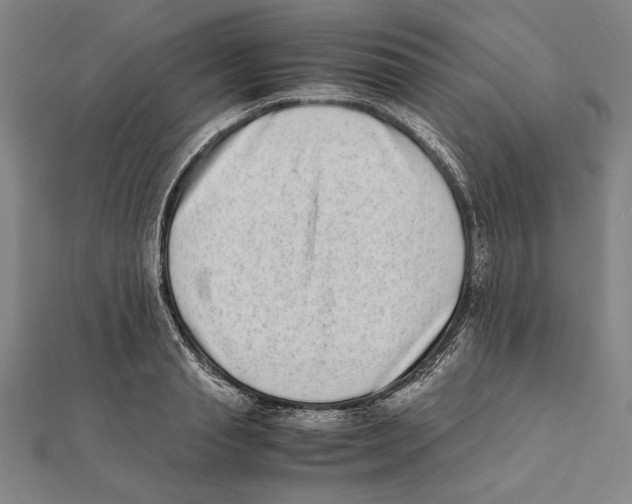 X0000111780845200908201108
