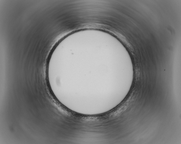 X0000111780846200908201108