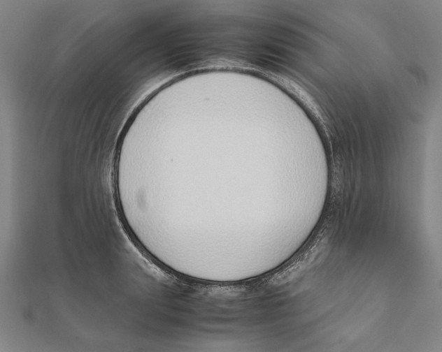 X0000111780847200908201108