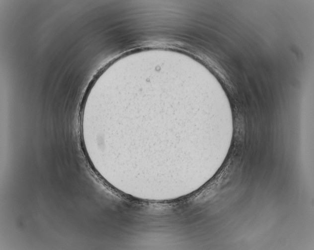 X0000111780848200908201108