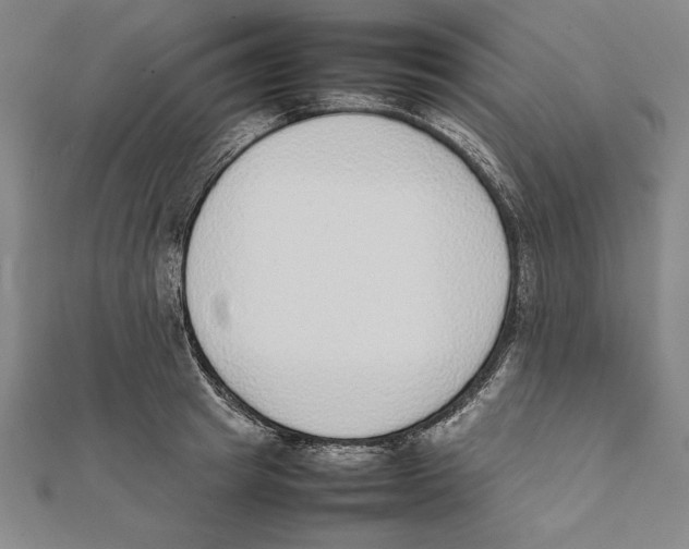 X0000111780849200908201108
