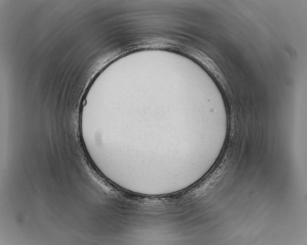 X0000111780850200908201108