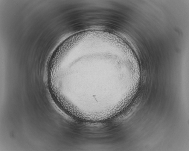 X0000111780851200908201108