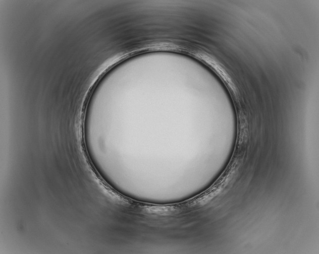 X0000111780853200908201108
