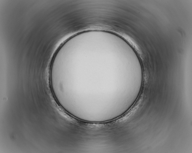 X0000111780854200908201108