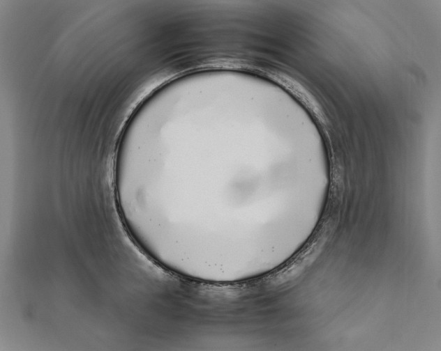 X0000111780855200908201109