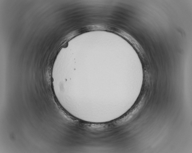 X0000111780857200908201109