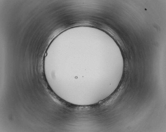 X0000111780858200908201109