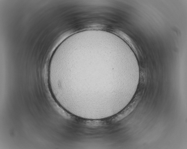 X0000111780859200908201109