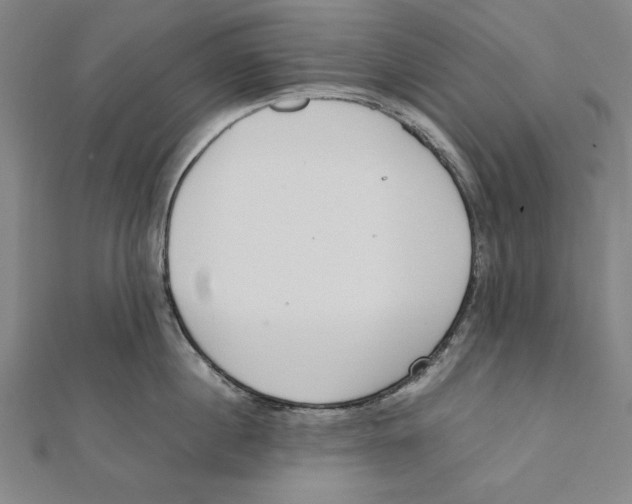 X0000111780860200908201109