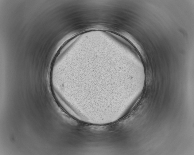 X0000111780861200908201109