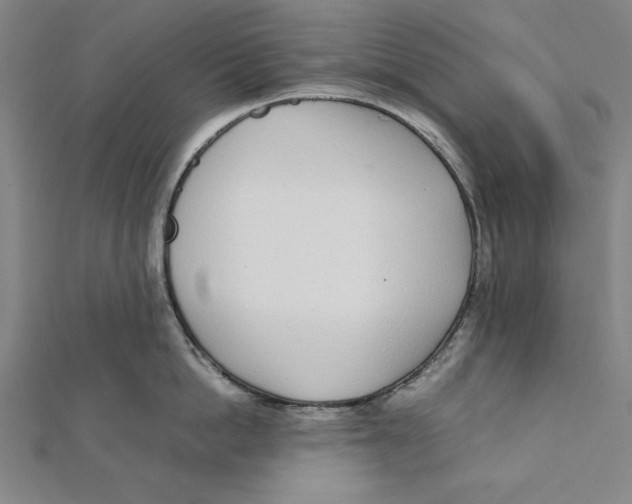 X0000111780862200908201109