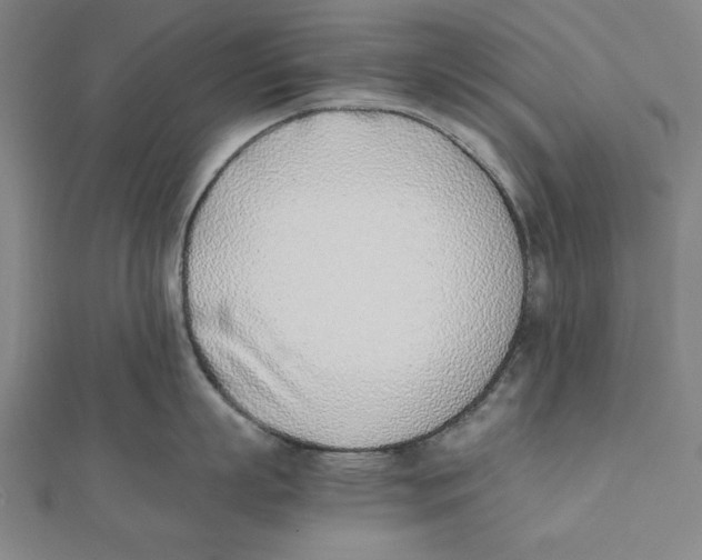 X0000111780863200908201109