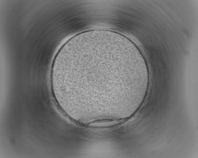 X0000111780864200908201109