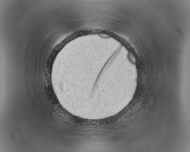 X0000111780871200908201108